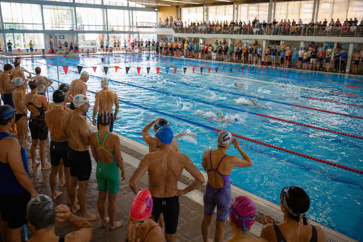 Ambiente de competición en natación máster Ambiente de competición en natación máster durante una prueba en piscina