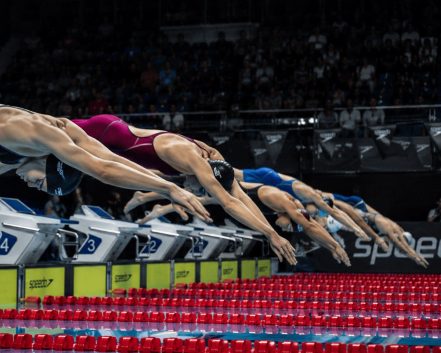 Nadadores preparándose para entrar al agua en una competición de natación representando velocidad y rendimiento Speedo