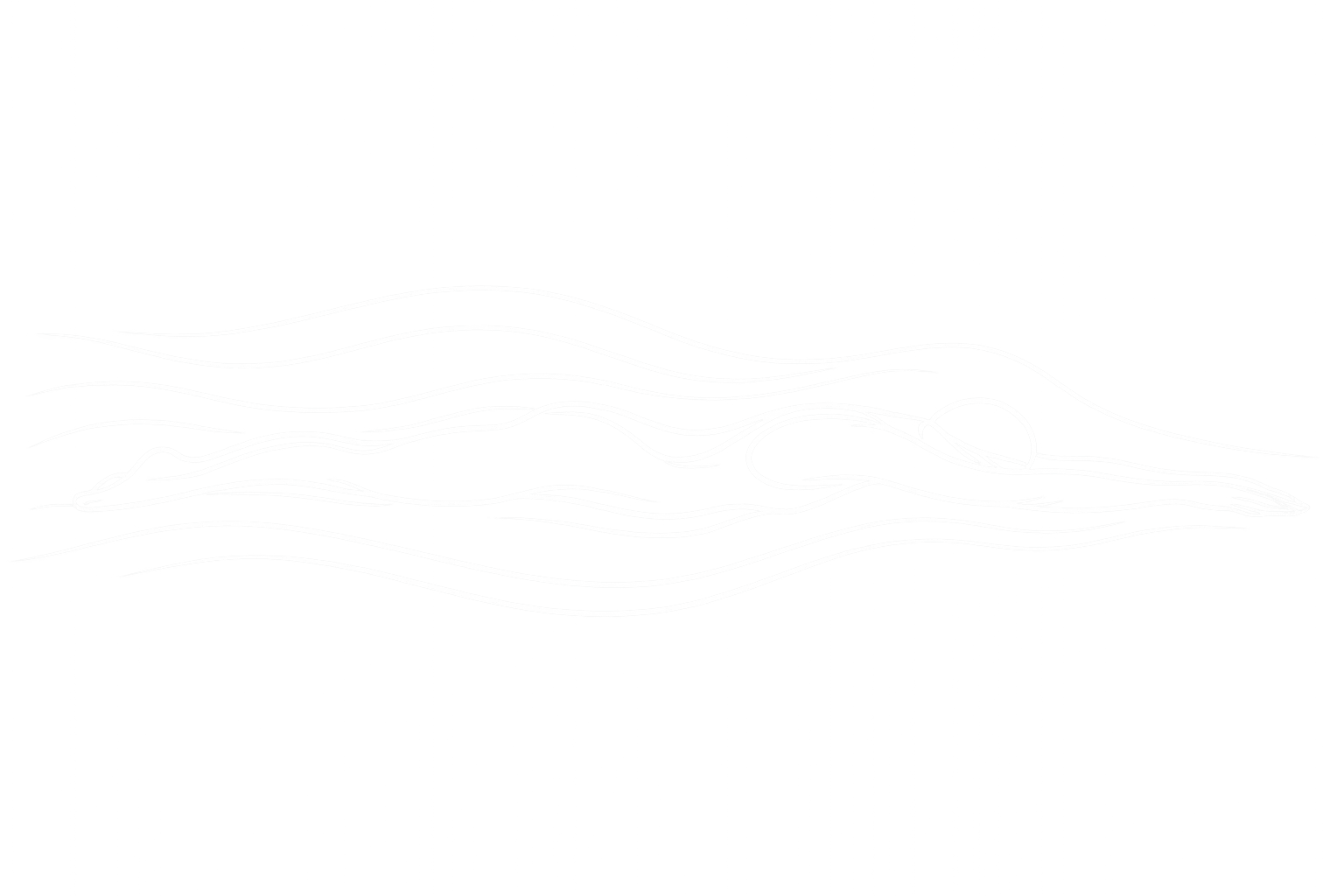 Ilustración minimalista de ajuste de un bañador de competición sobre el cuerpo del nadador mostrando adaptación y sujeción