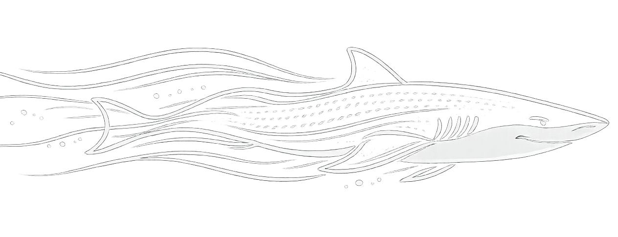 Silueta minimalista inspirada en un tiburón representando la hidrodinámica y el flujo del agua en natación
