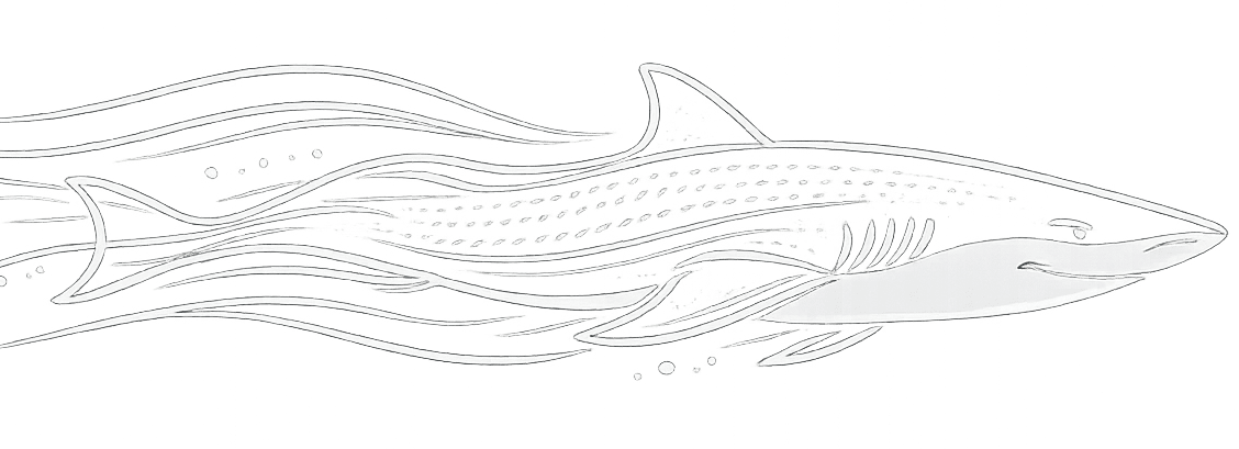 Silueta minimalista inspirada en un tiburón representando la hidrodinámica y el flujo del agua en natación