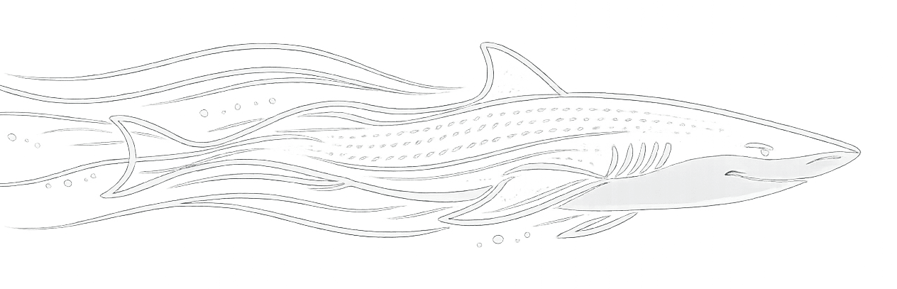 Silueta minimalista inspirada en un tiburón representando la hidrodinámica y el flujo del agua en natación