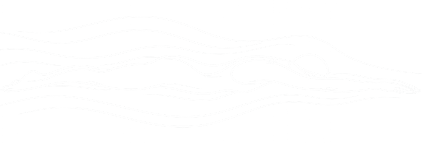 Ilustración minimalista de ajuste de un bañador de competición sobre el cuerpo del nadador mostrando adaptación y sujeción